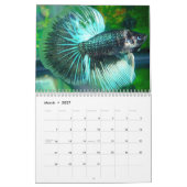 Betta Kalender 2010 (Mär 2027)