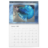 Betta Kalender 2010 (Jan 2027)