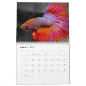Betta Kalender 2010 (Feb 2027)