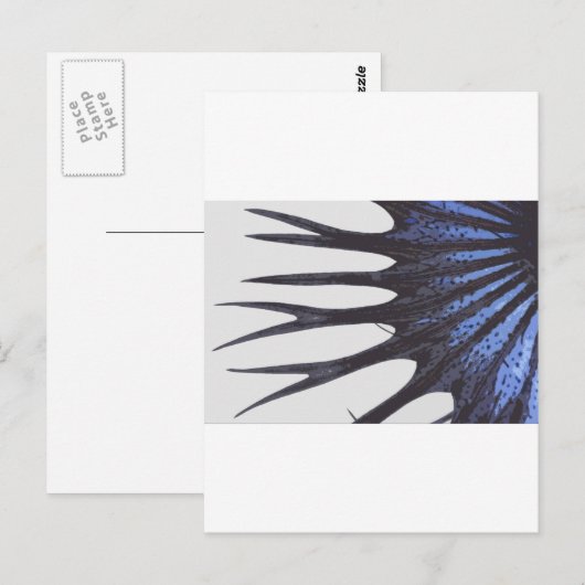 Betta-Kronenschwanz Postkarte (Vorne/Hinten)