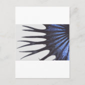 Betta-Kronenschwanz Postkarte (Vorderseite)