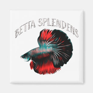 Betta Magnet