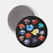 Betta Magnet (Vorderseite/Rückseite)