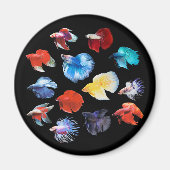 Betta Magnet (Vorne)