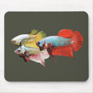 Betta Mousepad