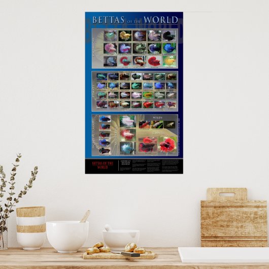 Betta Poster (Küche)