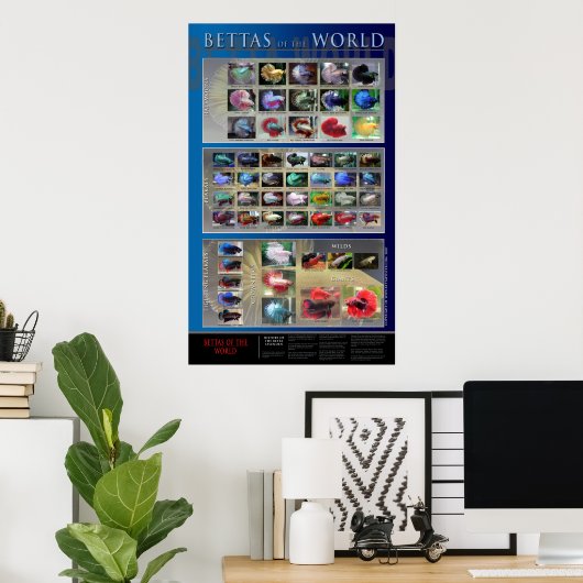 Betta Poster (Heimbüro)