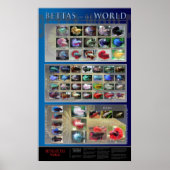 Betta Poster (Vorne)
