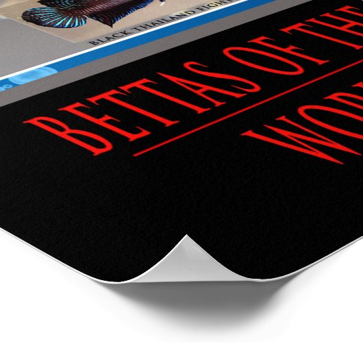 Betta Poster (Ecke)