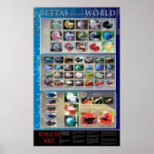 Betta Poster (Vorne)