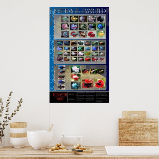 Betta Poster (Küche)