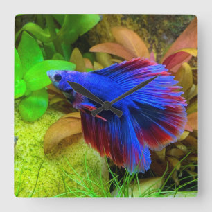 Betta Quadratische Wanduhr