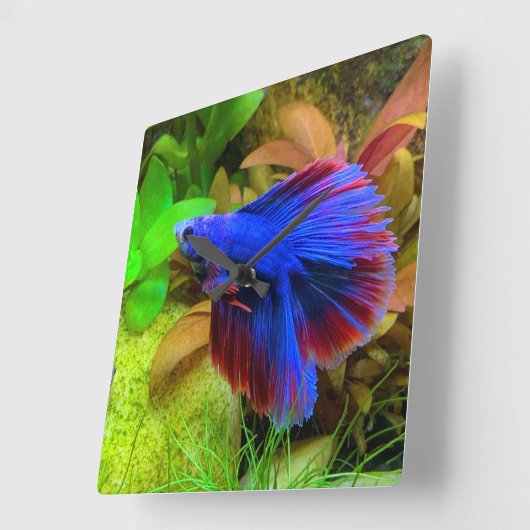 Betta Quadratische Wanduhr (Winkel)