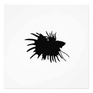 Betta Silhouette-Liebe-siamesische kämpfende Fotodruck