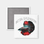 Betta splendens magnet (Vorderseite/Rückseite)