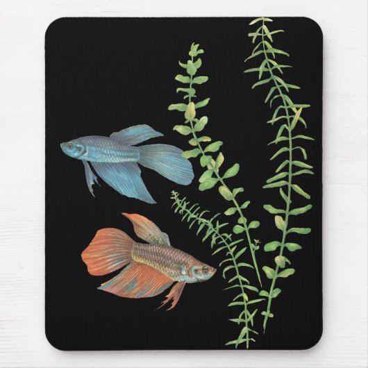 Betta splendens und Rotala indica Schwarz Mousepad (Vorne)