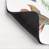 Betta splendens und Rotala Indica Weiß Mousepad (Ecke)
