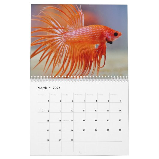 Bettafish Kalender (Mär 2026)