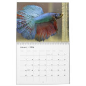 Bettafish Kalender (Jan 2026)