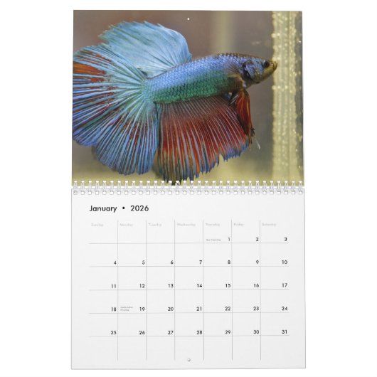 Bettafish Kalender (Jan 2026)