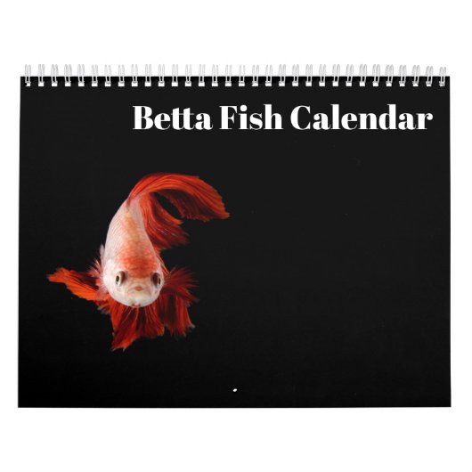 Bettafish-Kalender 2025 Kalender (Titelbild)