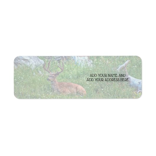 Bettbuck (Vorne)