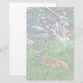 Bettbuck Briefpapier (Vorne/Hinten)