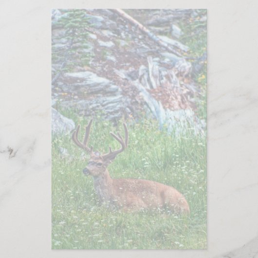 Bettbuck Briefpapier (Vorderseite)