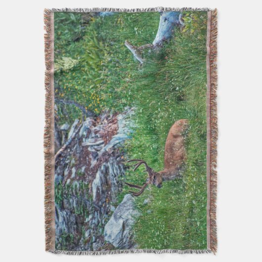 Bettbuck Decke (Vorderseite Vertikal)