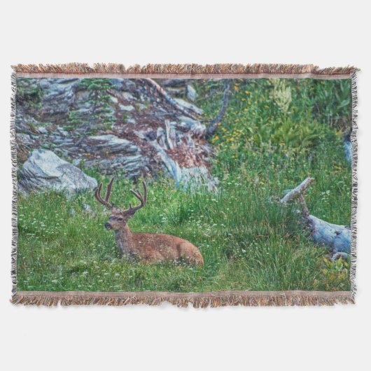 Bettbuck Decke (Vorderseite)