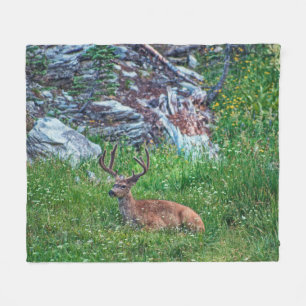 Bettbuck Fleecedecke