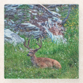 Bettbuck Glasuntersetzer