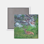 Bettbuck Magnet (Vorderseite/Rückseite)