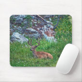 Bettbuck Mousepad (Mit Mouse)