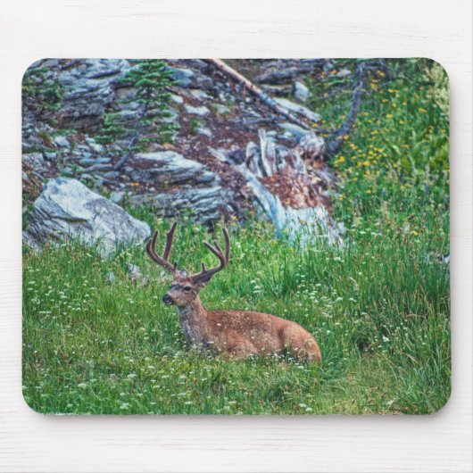 Bettbuck Mousepad (Vorne)