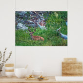 Bettbuck Poster (Küche)