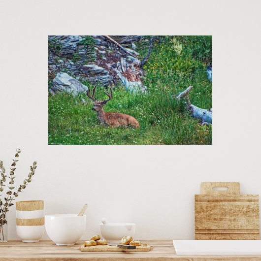 Bettbuck Poster (Küche)