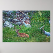 Bettbuck Poster (Vorne)