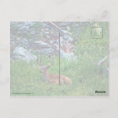 Bettbuck Postkarte (Rückseite)