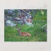 Bettbuck Postkarte (Vorderseite)