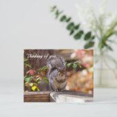Bettelndes Eichhörnchen denkt an Dich Postkarte (Stehend Vorderseite)
