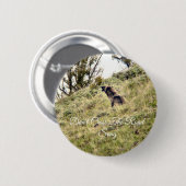 Bettelt, überquere nicht den Straßenong Button (Vorne & Hinten)