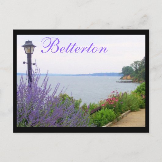 Betterton, MD Summer Blume Postkarte (Vorderseite)