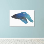Bettfisch oder Blausiam-Männlicher Fisch Leinwanddruck (Insitu (Holzboden))