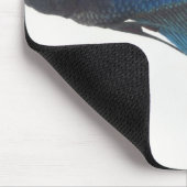 Bettfisch oder Blausiam-Männlicher Fisch Mousepad (Ecke)