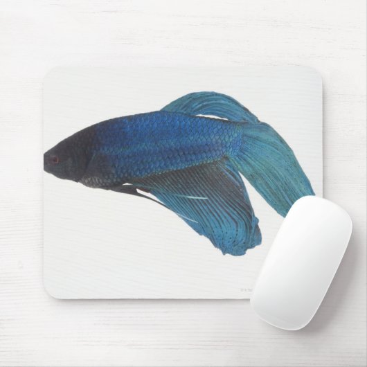 Bettfisch oder Blausiam-Männlicher Fisch Mousepad (Mit Mouse)
