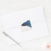 Bettfisch oder Blausiam-Männlicher Fisch Quadratischer Aufkleber (Umschlag)