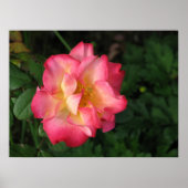 Betty Boop - 24. Mai 2009 139 Poster (Vorne)