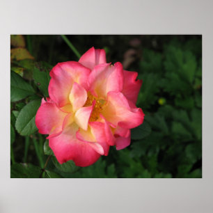 Betty Boop - 24. Mai 2009 139 Poster