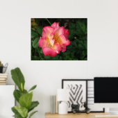 Betty Boop - 24. Mai 2009 139 Poster (Heimbüro)